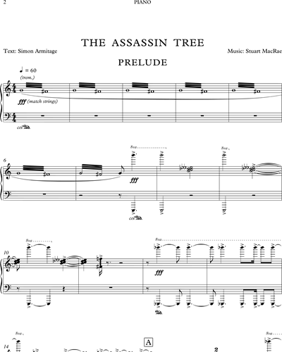 The Assassin Tree
