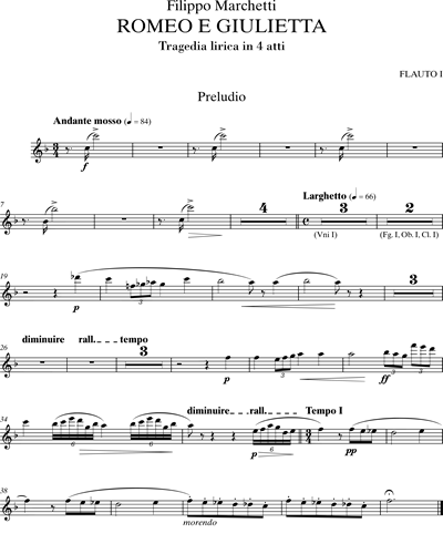 [Orchestra] Flute 1