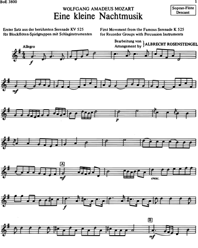 Eine Kleine Nachtmusik K 525 (1st Movement) Arranged for Recorder Groups with Percussion Instruments
