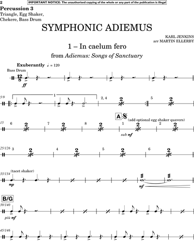 Percussion 3