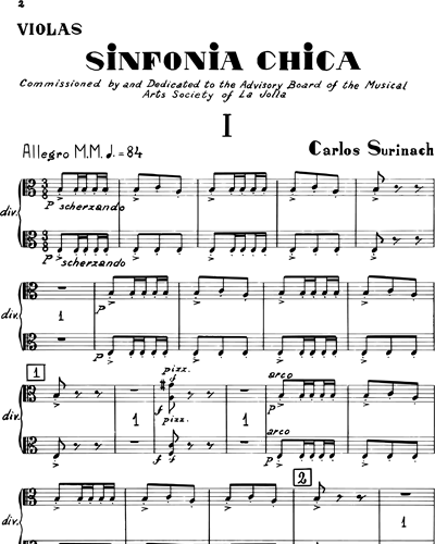 Sinfonia Chica [Small Symphony]