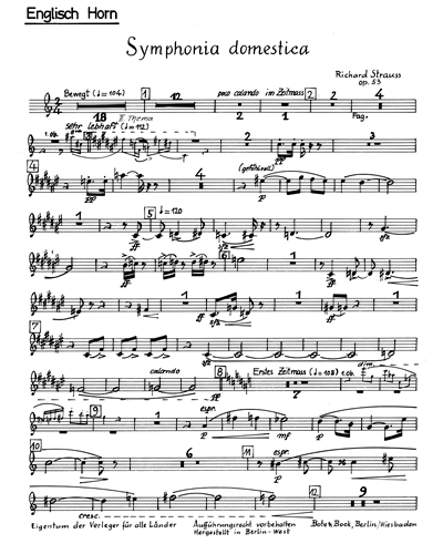 Symphonia Domestica, op. 53