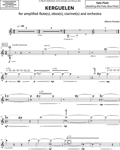 [Solo] Flute/Alto Flute/Bass Flute Amplified