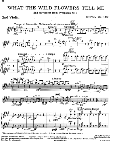 Violin 2