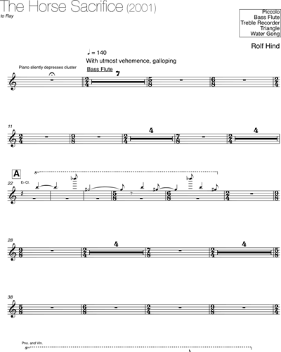Piccolo/Bass Flute/Treble Recorder/Triangle/Gong
