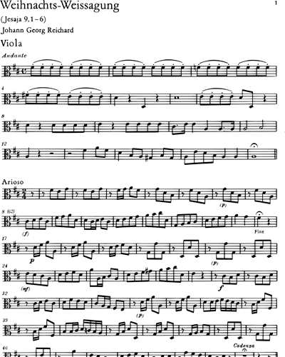 Viola