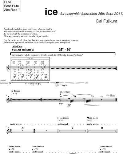 Flute/Alto Flute 1/Bass Flute