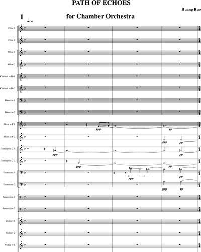 Path of echoes (Symphony n. 1 for chamber orchestra)