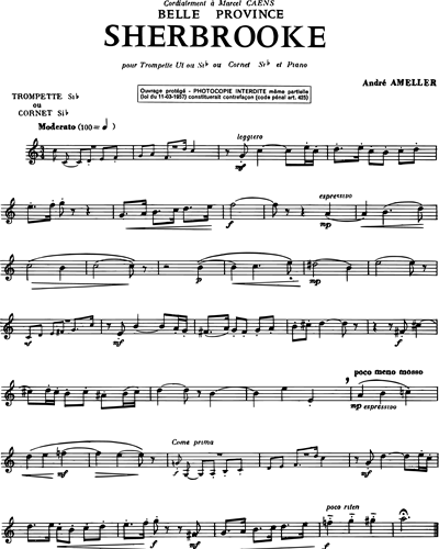 Trumpet in Bb/Cornet in Bb (Alternative)