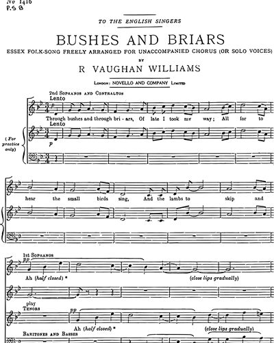 Bushes and Briars