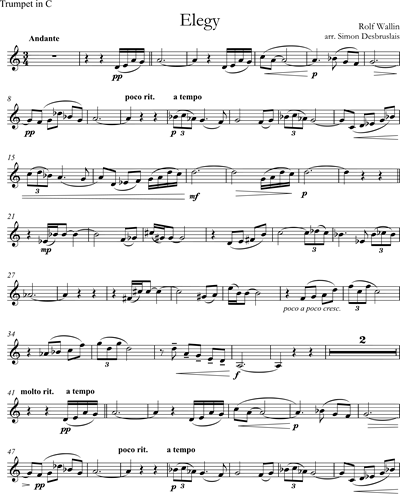 Elegy [Arranged for Trumpet and String Quartet]