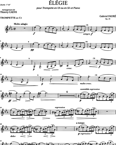Élégie Op. 24 (Arrangement pour Trompette en Ut ou en Si bémol et Piano)