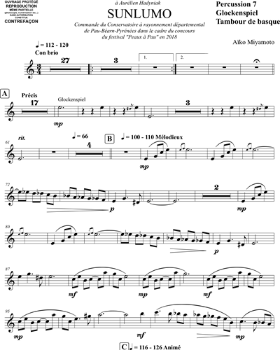 Percussion 7