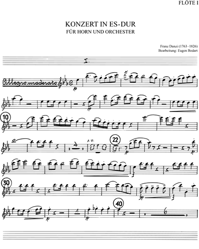 Konzert in Es-dur für Horn und Orchester