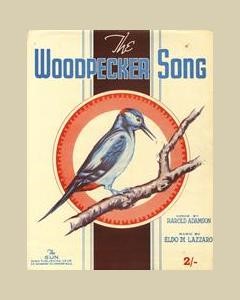 The Woodpecker Song