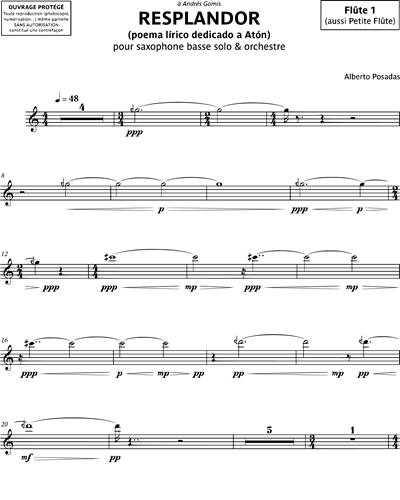 Flute 1/Piccolo/Alto Flute