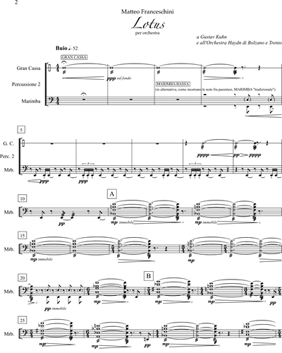 Percussion 2