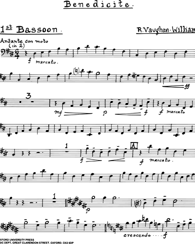 Bassoon 1