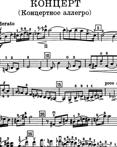 Concerto Pour Violon Op 100 "Concerto Allegro"