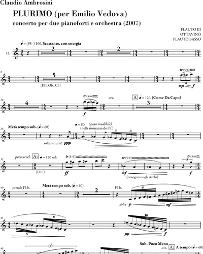 Flute 3/Piccolo/Bass Flute