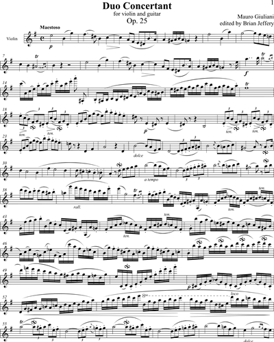 Duo Concertant, op. 25