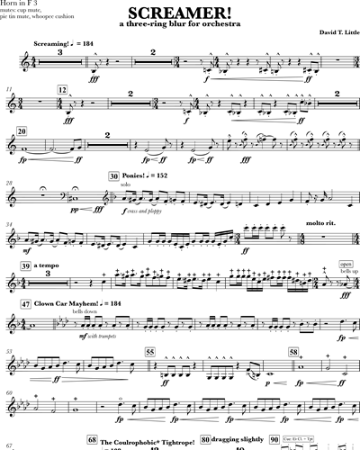 Screamer! [Version for Chamber Orchestra]